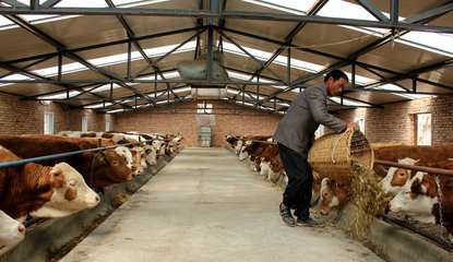 【走進(jìn)“三農(nóng)”】張家川五大產(chǎn)業(yè)齊并進(jìn)（三）畜牧設(shè)備技術(shù)開(kāi)發(fā) 賦能傳統(tǒng)養(yǎng)殖，驅(qū)動(dòng)產(chǎn)業(yè)升級(jí)